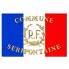 Le drapeau français de façade personnalisé + RF et Palmes dorés - Net Collectivités