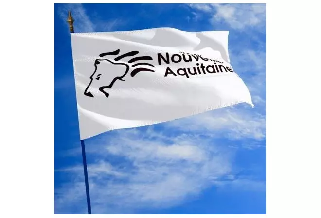 Le drapeau de la Région Nouvelle Aquitaine - Net Collectivités