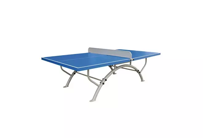 Tennis de table CHAMPION extérieure avec plateau résine